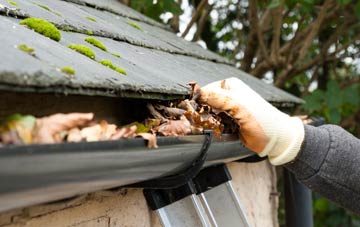 gutter cleaning Prees Lower Heath, Shropshire