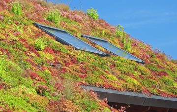 Prees Lower Heath living roof systems