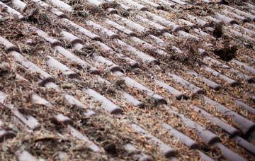 Prees Lower Heath roof cleaning companies