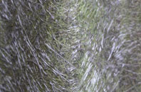 Prees Lower Heath fibreglass roof work